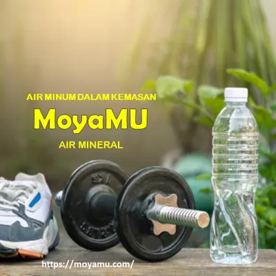 Air Mineral sebagai Pilihan Sehat di Tengah Gaya Hidup Aktif